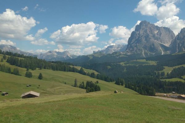 Wiese Seiseralm