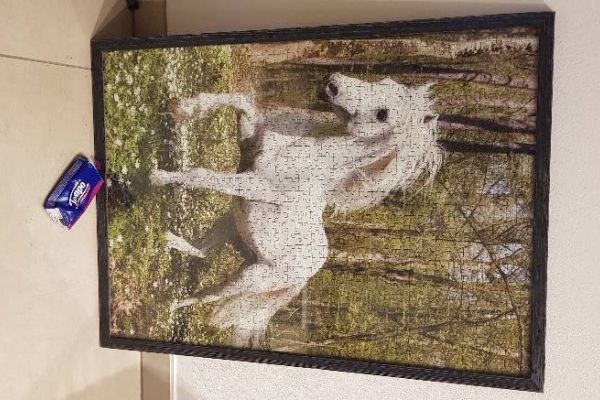 Großes Puzzle Schimmel mit Rahmen