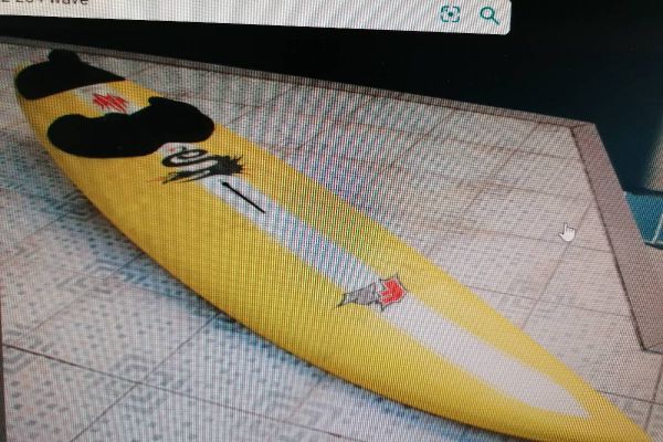 Surfbrett F2