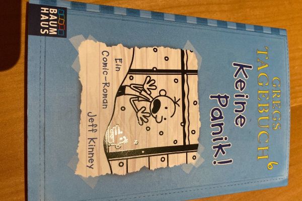 Gregs Tagebuch 6 Keine Panik!
