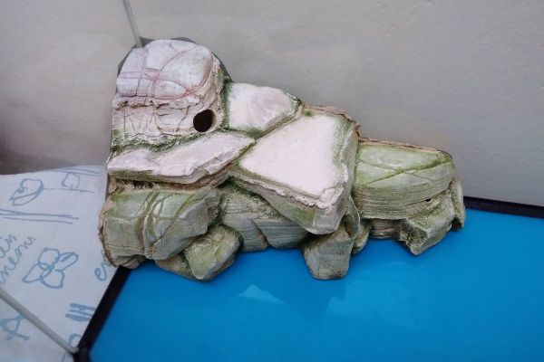 Terrarium für Wasserschildkröten