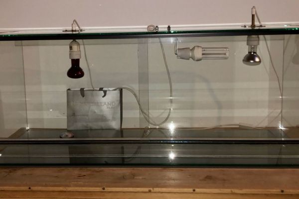 Terrarium mit Zubehör (Heizkabel, Lampen, Diverses) zu Verkaufen
