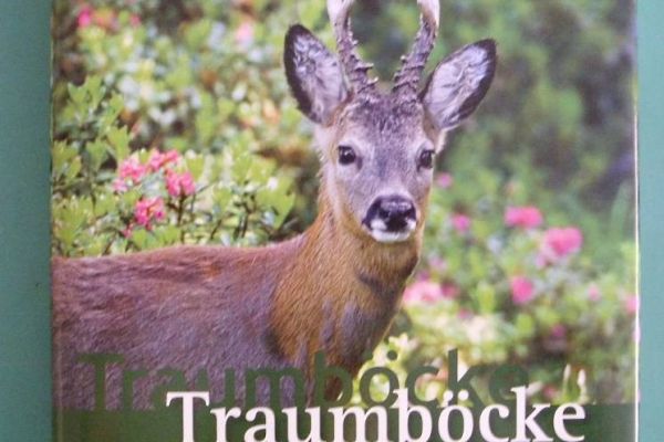 Buch "Traumböcke" zu verkaufen