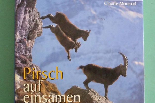 Schönes Jagdbuch zu verkaufen