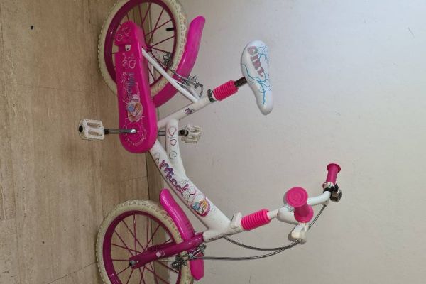 Bici da vendere