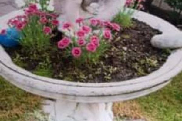 Verschönere deinen Garten