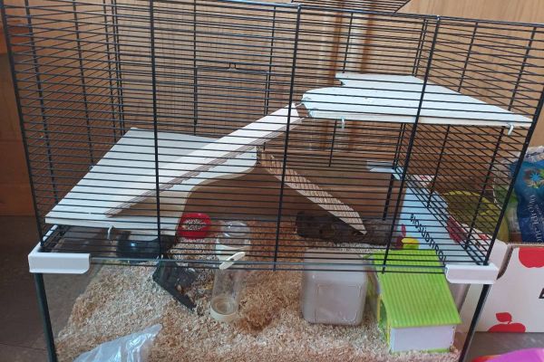 Hamsterkiste mit neuen Rad und Zubehör