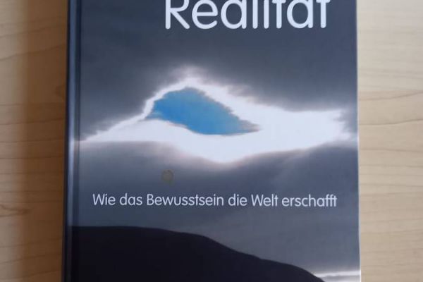 DIE ENTSTEHUNG DER REALITÄT, Jörg Starkmuth - WIE NEU