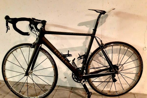 Rennrad Rose