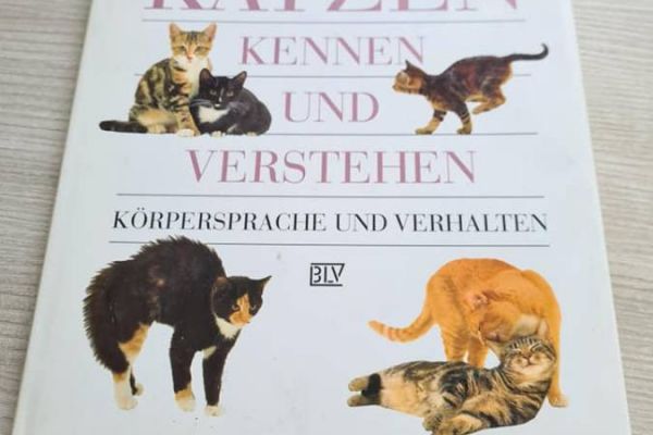 Buch Katzen kennen und verstehen zu verschenken