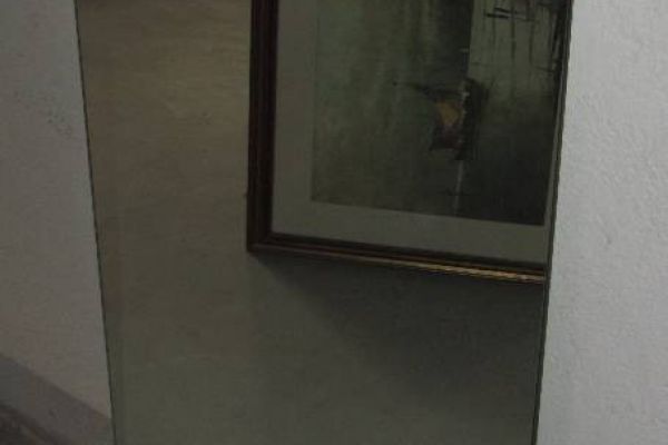 Spiegel 50 x 105 cm
