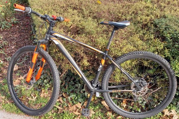 MTB Alaska 29, 24 Gang Schaltung zu verkaufen