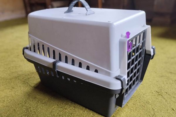 Transportbox Hunde/Katzen