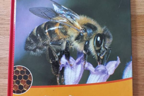 Die Biene - Meine große Tierbibliothek - WIE NEU