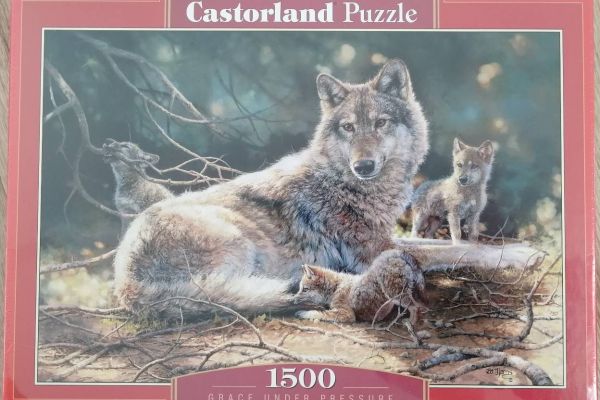 Castorland Puzzle 1500 Stück Grace under Pressure