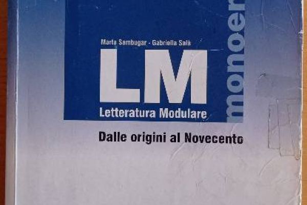 Letteratura modulare, dalle origini al 900 - Marta Sambugar