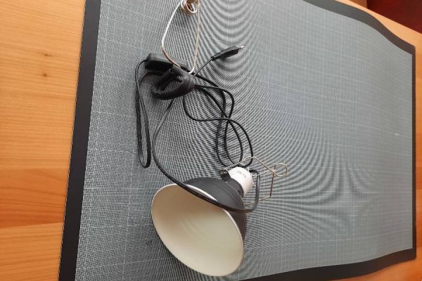 Porzellanklemmlampe und Wärmelampe (Intensive Spot Lampe 75)