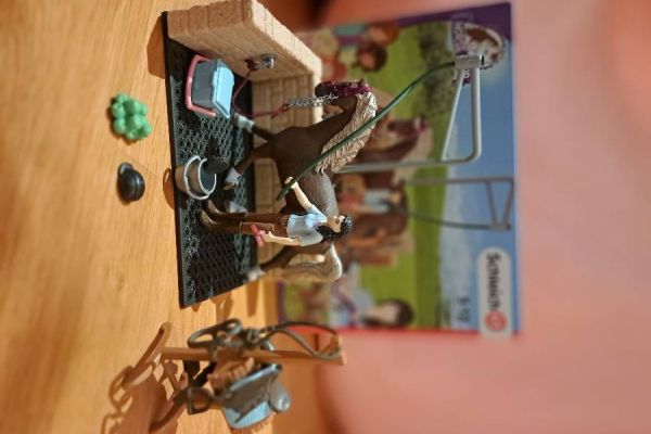 Schleich Putzstelle