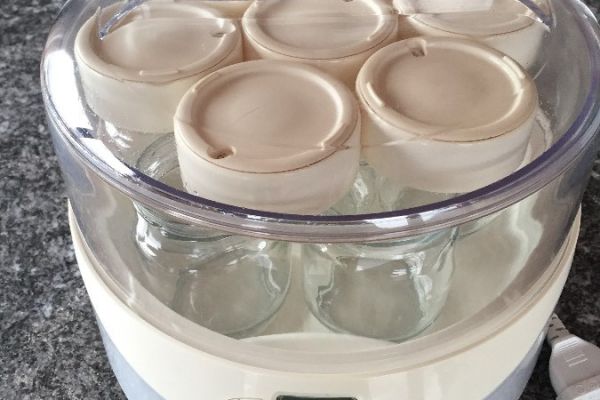 Moulinex YG230 Joghurt Maschine