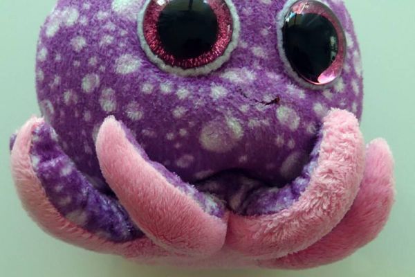 Mehrere Kuscheltiere Glubschis