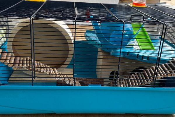 Großer Käfig —-Hamsterkäfig