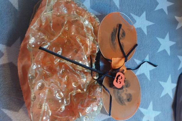 Faschingskostüm Mädchen