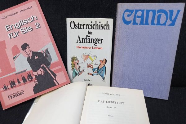 Bücher: Candy-Österreichisch für Anfänger-Das Liebesfest-Englisch für