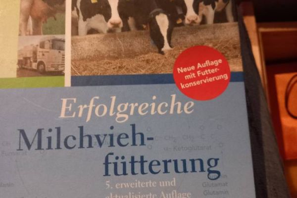 Erfolgreiche kuhfütterung