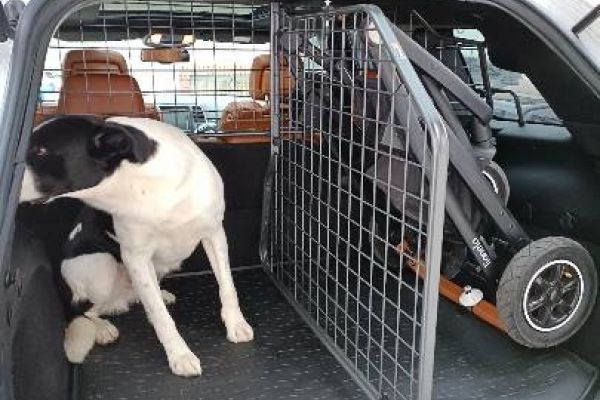 Hunde- Gitter Jeep Grand Cherokee mit Kofferraum Matte