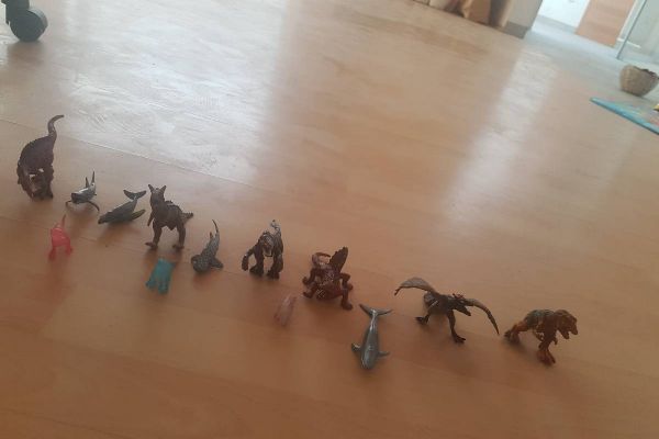 12 Dinosaurier