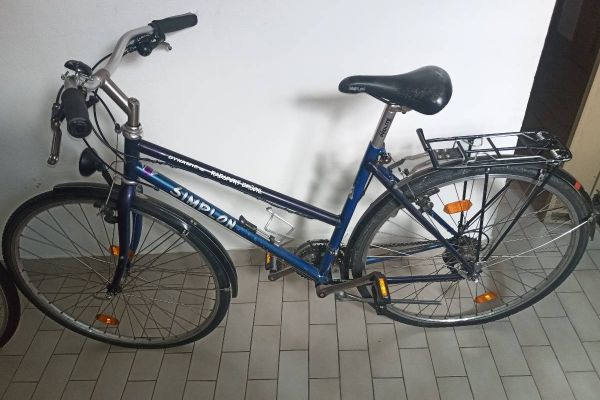 Damen Fahrrad extra leicht