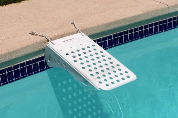 Hunderampe für Pool