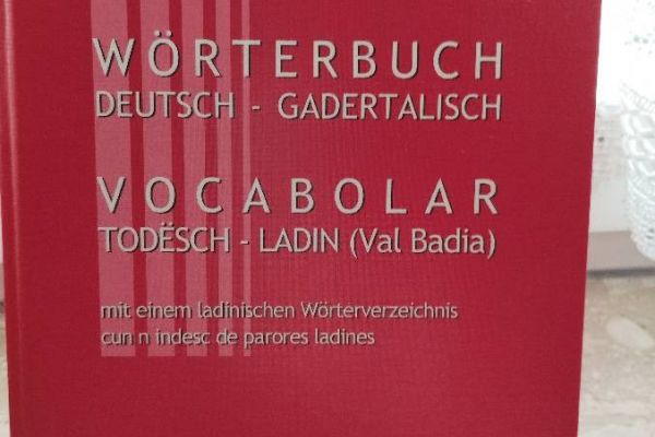 Wörterbuch Deutsch-Ladinisch mit 924 Seiten