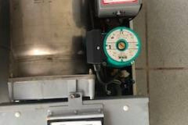 Gastherme-samt neuer Elektronik (Marke Örtly) günstig abzugeben