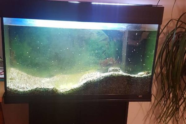 Acquarium 100litet