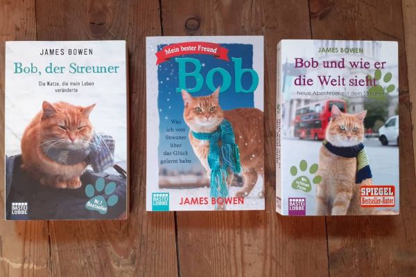 Bob der Streuner
