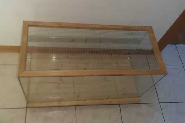 Terrarium in Glas
