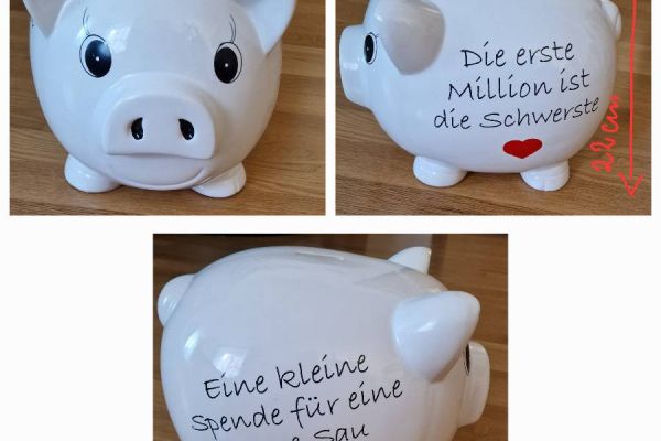 Schwein Spardose