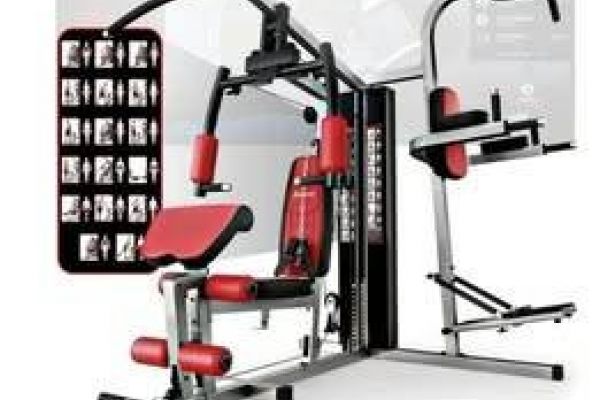 Doppia Stazione di allenamento all-in-one HGX200
