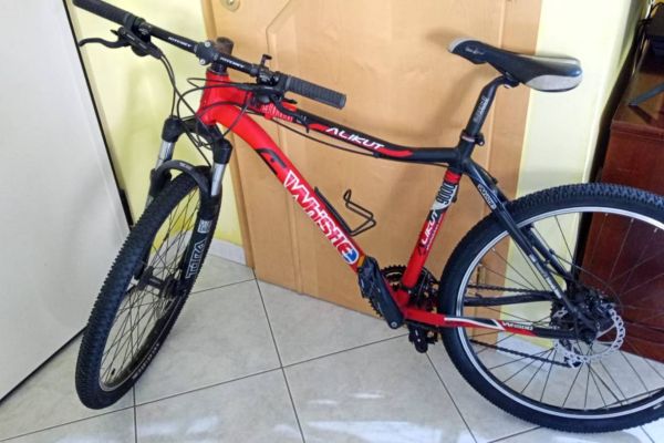 Mountain bike