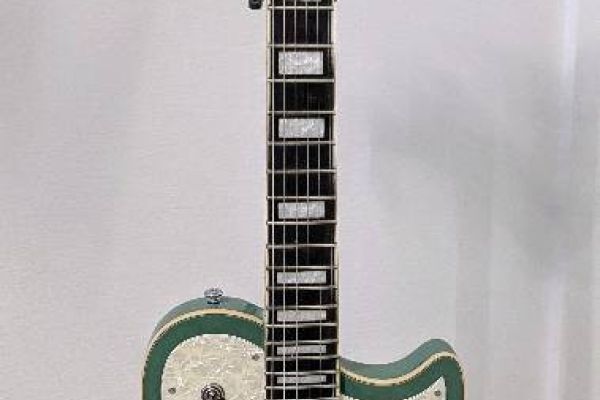 E-Gitarre D'Angelico