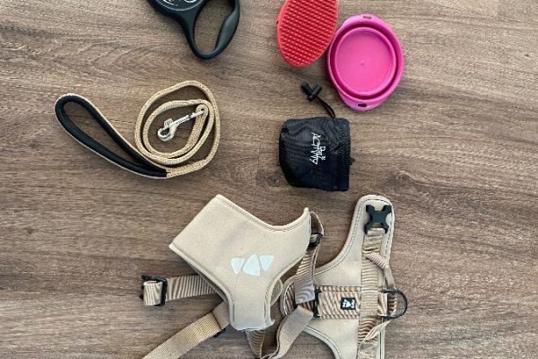 Hundeaccessoires