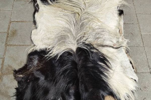 Krampussmaske mit Felloberteil