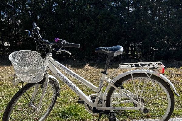 Fahrrad weiß/violett