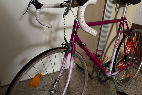 Vintage Retro Giant Peloton