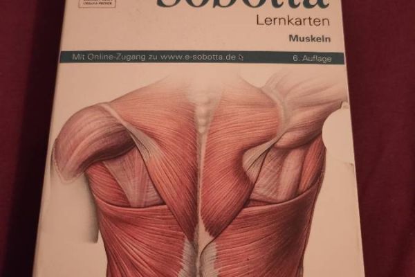 Sobotta Lernkarten Muskeln
