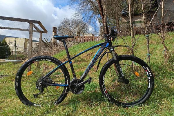 Mountain Bike Olympia top Zustand