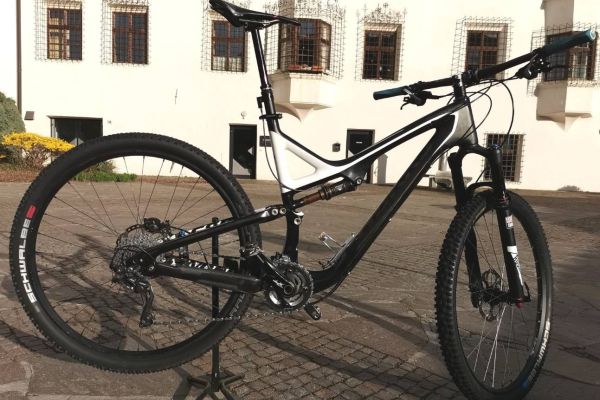 Verkaufe Mountainbike Specialized Stumpjumper S-Works Carbon, 29 XL