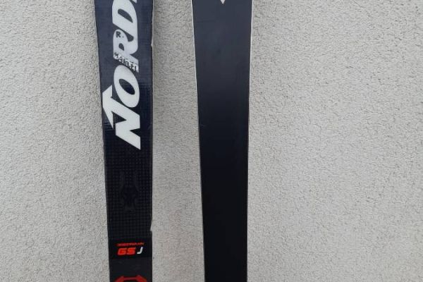 Ski (Rennski)