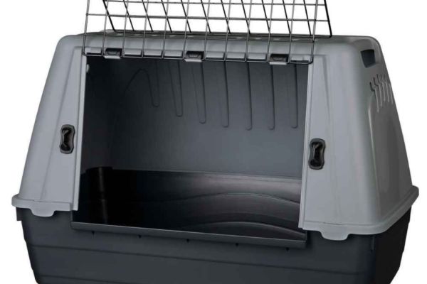 Transportbox